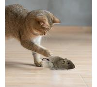 Mouse Cat Toy - Soft Plush Wind Up Material, Cute Mouse Design, Entertaining Feline Item, Motion Based Feature With Activity Encouragement Element | Play Stimulation For Kittens Adults Indoor Ar