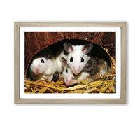 Mouse Hole Framed Print | A2 Oak Framed Wall Art | Ready to Hang | Modern Animal Picture | Living Room Bedroom Lounge Office