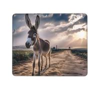 Mouse Mat 180 x 220mm, Gaming Mouse Pad Cute Donkey Small Mousepad Portable Non-Slip Base Washable Compact Mousemat, Lycra Surface Keyboard Mats home Office Accessories Office Decor for Wome F-474