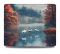 Mouse Mat 260 x 210 x 3 mm Gaming Mouse Pad, Non-Slip Rubber Base, Waterproof Surface Mousepad, Stitched Edges, Compatible with Laser and Optical Mice, Landscape Desk Mat, Gifts for Man Crane 0d-492
