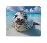 Mouse Mat 270 x 220mm, Gaming Mouse Pad Sea Lions Small Mousepad Portable Non-Slip Base Washable Compact Mousemat, Lycra Surface Keyboard Mats home Office Accessories Office Decor for Wome F-288