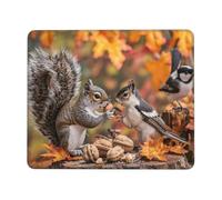 Mouse Mat 420 x 350mm, Gaming Mouse Pad Squirrel Bird Small Mousepad Portable Non-Slip Base Washable Compact Mousemat, Lycra Surface Keyboard Mats home Office Accessories Office Decor for Wome F-864