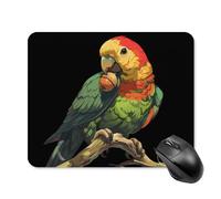 Mouse Mat Beautiful Parrot Bird Acorn Printed Durable Mousepad Personalized Mouse Pad For Laptop Pc Gamer 25X30cm