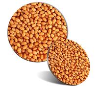 Mouse Mat & Coaster Set - Baked Beans Food Breakfast Cafe 20 cm & 9 cm for Computer & Laptop, Office, Non-slip Base #44208