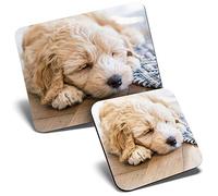 Mouse Mat & Coaster Set - Cream Labradoodle Puppy Sleeping Dog 23.5 x 19.6 cm & 9 x 9 cm for Computer & Laptop, Office, Gift, Non-slip Base #44740