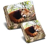 Mouse Mat & Coaster Set - Lesser Red Panda 23.5 x 19.6 cm & 9 x 9 cm for Computer & Laptop, Office, Gift, Non-slip Base #14217