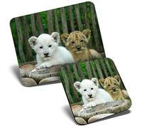 Mouse Mat & Coaster Set - Lion Cubs White Brown Wild Animal 23.5 x 19.6 cm & 9 x 9 cm for Computer & Laptop, Office, Gift, Non-slip Base #21794