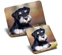 Mouse Mat & Coaster Set - Miniature Schnauzer Dog Puppy 23.5 x 19.6 cm & 9 x 9 cm for Computer & Laptop, Office, Gift, Non-slip Base #15550