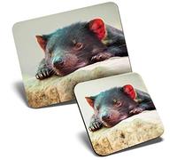 Mouse Mat & Coaster Set - Sleepy Tasmanian Devil Animal 23.5 x 19.6 cm & 9 x 9 cm for Computer & Laptop, Office, Gift, Non-slip Base #2202