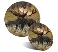 Mouse Mat & Coaster Set - Wild Moose in Natural Wilderness 20 cm & 9 cm for Computer & Laptop, Office, Non-slip Base #16663