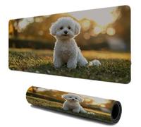 Mouse Mat, Gaming Mouse Pad for Speed and Control, Large Desk Mat with Non-Slip Base Stitched Edges, Textured Micro-Weave Cloth, Compatible with Laser and Optical Mousepad （ Summer Dog 600x300 I-392