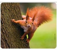 Mouse Mat/Mouse Pad Design 22 Forest: Squirrel on Tree - Tear-Resistant Rubber with High-Tack Base
