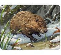 Mouse Mat Office Mouse Pad Mousepad 34 x 28 cm Non-Slip Rubber Base, Easy Gliding Ultra Thin Improves Speed and Accuracy, Textured, Gifts for Men Office Laptop Portable PC Beaver Send Five. w0j-60