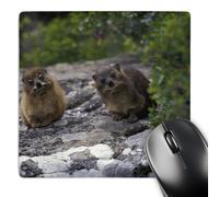 Mouse Mat South Africa Cape Of Good Hope Rock Hyrax Wildlife Premium Mousepad Non-Slip Mouse Pad For Work Pc Computer 25X30cm