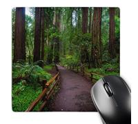 Mouse Mat Usa California Path Among Redwoods In Muir Woods Nm Improves Speed And Precision Mice Mat Comfortable Mouse Pad For Computer Home Office 25X30Cm