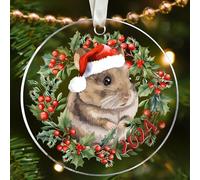 Mouse Ornament 2024 - Mouse Christmas Ornament, Ornament for Mouse Lovers, Cute Mouse Ornament 2024 - Gifts for Mouse Lovers - Mouse Ornaments for Christmas Tree - Mouse Lover Gift - Acrylic Ornament
