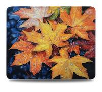 Mouse Pad 32 x 26 cm, Mouse Mat with Anti-slip Rubber Base, Small Mousepad Portable, Easy Gliding, Waterproof Durable Materials, Washable Autumn Desk Mat for MacBook, PC, Laptop, Office, Leaf 0d-860