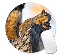 Mouse Pad A Cute Squirrel is Eating The Nuts in The Tree Round Mousepad