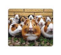 Mouse Pad Computer Mouse Mat with Anti-Slip Rubber Base Guinea Pigs Mouses Pad Waterproof Washable Mouses Mat Portable Keyboard Pad for Laptop Office Home 9.4"x7.9"