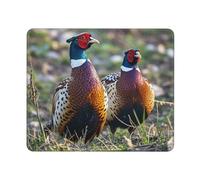 Mouse Pad Computer Mouse Mat with Anti-Slip Rubber Base Pheasants Animals Mouses Pad Waterproof Washable Mouses Mat Portable Keyboard Pad for Laptop Office Home 25x30 cm
