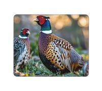 Mouse Pad Computer Mouse Mat with Anti-Slip Rubber Base Pheasants Animals Mouses Pad Waterproof Washable Mouses Mat Portable Keyboard Pad for Laptop Office Home 25x30 cm