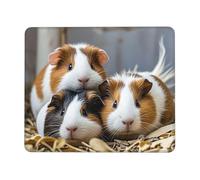 Mouse Pad Computer Mousepad with Anti-Slip Rubber Base guinea pigs Mouse Mat Washable Gaming Mousepad Portable Keyboard Pad for Laptop Office Home 8.3 x 10.3 in