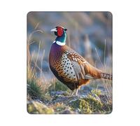 Mouse Pad Computer Mousepad with Anti-Slip Rubber Base Pheasants Animals Mouse Mat Washable Gaming Mousepad Portable Keyboard Pad for Laptop Office Home 25x30 cm