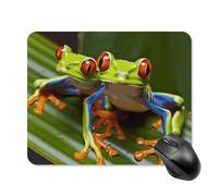 Mouse Pad Cute Non-Slip Rubber Base Desk Mat Red Eyed Tree Frog Funny Square Mousepad for Office & Gaming, Decorative Computer Accessories for Home Office Desk