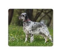 Mouse Pad,English Setter Lawn Pets Dogs English Setter,Non-Slip Rubber Base Mousepad,waterproof Mouse Mat 12×10 Inch Work Office