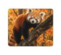 Mouse Pad for Computer and Laptop Non-Slip Mouse Mat for Office and Gaming | Red Panda In The Tree Desk Mat Smooth Surface With Stitched Edges For Easy Mouse Movement Office And Gaming Use 25 X 30cm