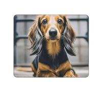 Mouse Pad Long haired Dachshund Mouse Mat Computer Gaming Mouses Pad with Anti-Slip Rubber Base Washable Mouses Mat for Laptop Computer Mats for Office Gaming 9.4"x7.9"