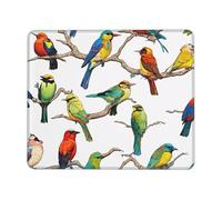 Mouse Pad Parrot Birds And Tropical Tree Portable Mousepad Premium Mouse Mat For Pc Home Gamer 25X30cm