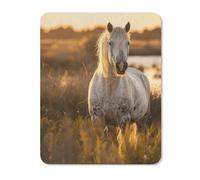 Mouse Pad, Real Horse Photos Ergonomic Mouse Mat Portable Mousepads For Gamer Studying Game 25X30Cm