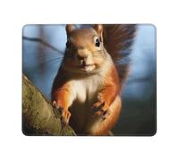 Mouse pad Squirrel Funny Animal Mouse Mat for Wireless Mouses Computer Keyboard Mats with Non-Slip Rubber Gaming Desk Pad Square Desk Mat for Office Laptop 10 x 12 inch