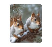 Mouse Pad Washable Computer Mousepad with Anti-Slip Rubber Base Little Squirrel Mouse Mat Gaming Keyboard Mat Desk Accessories Ultra-Smooth Office Mousepad for Laptop Office Home 7.9x9.4 inch