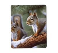 Mouse Pad Washable Computer Mousepad with Non-Slip Rubber Base 7 x 8.6 in | Little Squirrel Mouse Mat for Laptop Desk Accessories Mat Gaming Mousepad for Office Table Computer Home