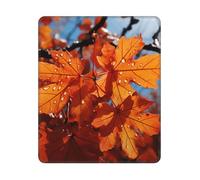 Mouse Pad Washable Computer Mousepad with Non-Slip Rubber Base Fall Maple Leafs Mouse Mat for Laptop Desk Accessories Mat Gaming Mousepad for Office Table Computer Home 25x30 cm