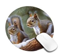 Mouse Pad Washable Computer Mousepad with Non-Slip Rubber Base Little Squirrel Mouse Mat for Laptop Desk Accessories Mat Gaming Mousepad for Office Table Computer Home 2 PCS