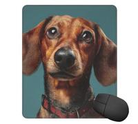 Mouse Pad Washable Mousepad with Non-Slip Rubber Base Dachshund Dog Mouses Mat for Laptop Desk Pad Gaming Mousepad for Office Computer Home 25x30 CM