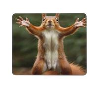 Mouse Pad Waterproof Computer Mousepad with Non-Slip Rubber Base Squirrel Funny Animal Mouse Pad Laptop Desk Pad Washable Gaming Mouse Mat for Laptop Office Home 8.3 x 10.3 in