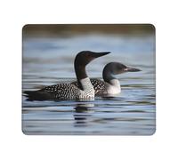 Mouse Pad with Non-Slip Rubber Base 7.9 x 9.5 in Mouse Mat with Stitched Edge Loon Birds Gaming Mousepad for Wireless Mouse Computer Laptop Home Office Desk Pad