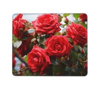 Mouse Pad with Non-Slip Rubber Base 7.9 x 9.5 in Mouse Mat with Stitched Edge Red Roses Bush in The Garden Gaming Mousepad for Wireless Mouse Computer Laptop Home Office Desk Pad