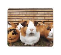 Mouse Pad with Non-Slip Rubber Base 8.3 x 10.3 in Mouse Mat with Stitched Edge Guinea Pigs Gaming Mousepad for Wireless Mouse Computer Laptop Home Office Desk Pad