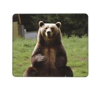 Mouse Pad with Non-Slip Rubber Base 8.3 x 10.3 in Mouse Mat with Stitched Edge Hi Bear Sit on The Lawn Gaming Mousepad for Wireless Mouse Computer Laptop Home Office Desk Pad