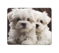 Mouse Pad with Stitched Edge Comfortable Mouse Pads Waterproof Non-Slip Gaming Mousepad Cute Maltese Puppy Square Computer Mouse Mat Washable Mousepads for Office Home Laptop 10 x 12 inch