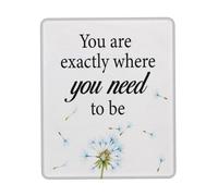 Mouse Pad You are Exactly Where You Need to Be Desk Pad Travel 25x30CM