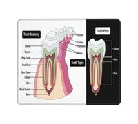 Mouse Pads Dental Knowledge Tooth Dentist Encyclopedia 25X30Cm Smooth Mouse Mat Durable Mousepads For Home Office
