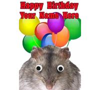 Mouse REAL Googly Eyes Birthday Card A5 Personalised Greeting code01