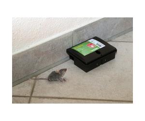 Mouse trap pvc Kerbl BlocBox Peti