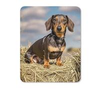 Mousepad Dachshund Dog Printed Mouse Pad Mouse Mat Superb Tracking Accuracy And Smooth Surface Mouse Control for Office Home
